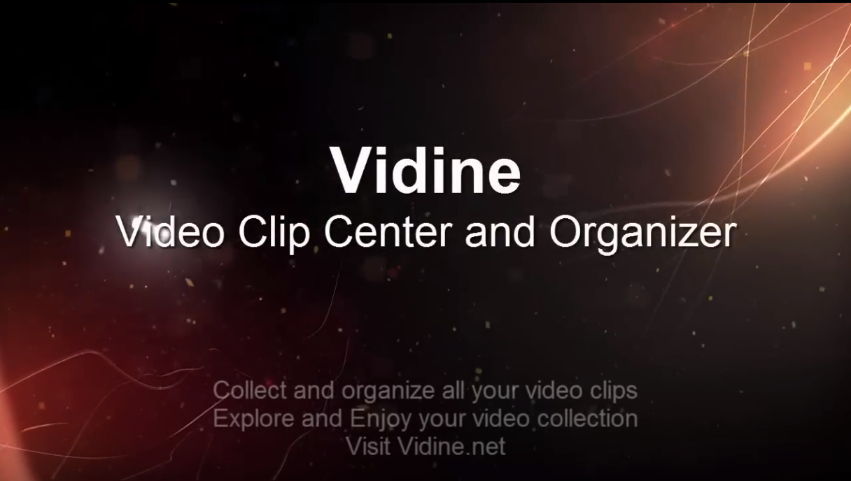 Vidine video clip manager